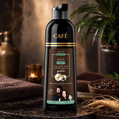 Disaar® ColorFix – Shampoo Pinta Canas 400ml